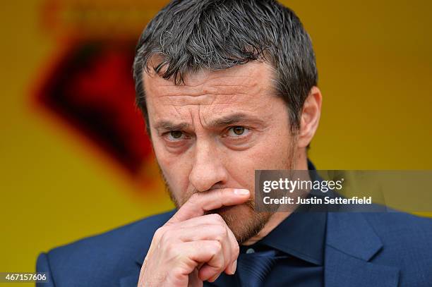 Slavisa Jokanovic Manager of Watford looks on ahead of the Sky Bet Championship match between Watford and Ipswich Town at Vicarage Road on March 21,...