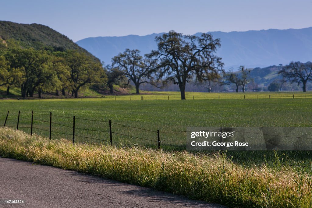 Exploring Santa Barbara's Coastal Charms