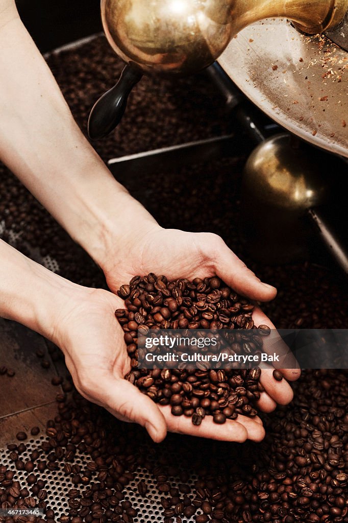 Hands holding coffee beans