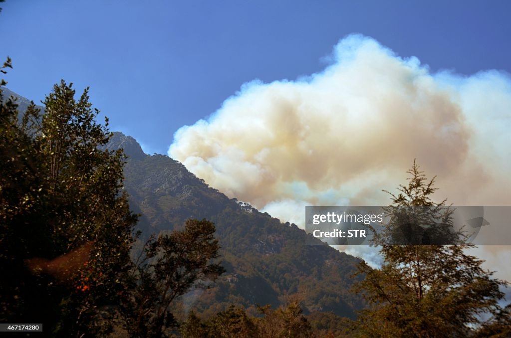 CHILE-FIRE-NATIONAL PARK