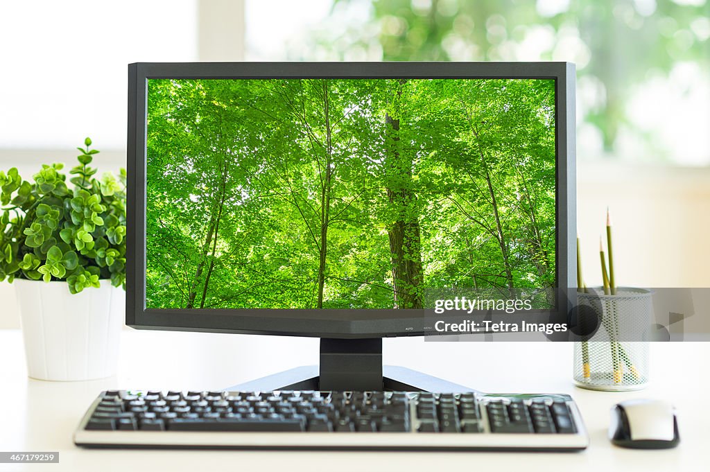 USA, New York City, Computer screen showing greenery