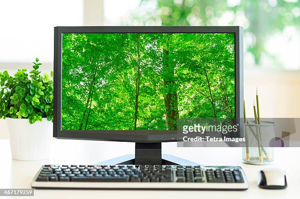 usa, new york city, computer screen showing greenery - desktop pc stock pictures, royalty-free photos & images