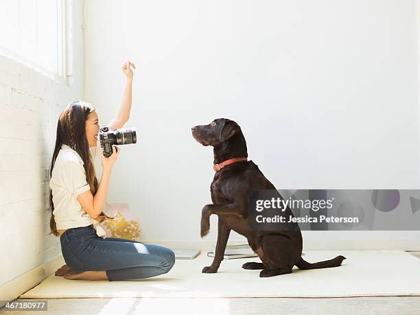 woman photographing dog in studio - profile shoot of bollywood actor soha ali khan stockfoto's en -beelden