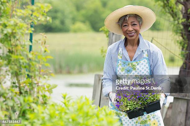 usa, new jersey, old wick, portrait of senior woman working in garden - black hat stockfoto's en -beelden