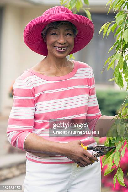 usa, new jersey, old wick, portrait of senior woman pruning branch - old hat new hat ストックフォトと画像