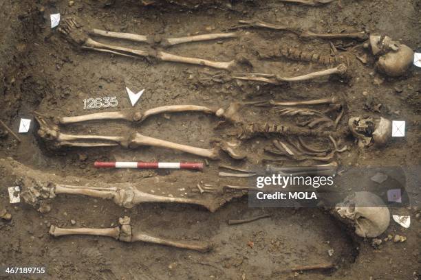 Three supine extended burials, from the excavation of the Black Death cemetery, East Smithfield, London.