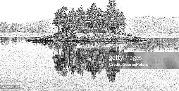 stockillustraties, clipart, cartoons en iconen met island. lac la croix, minnesota - red pine