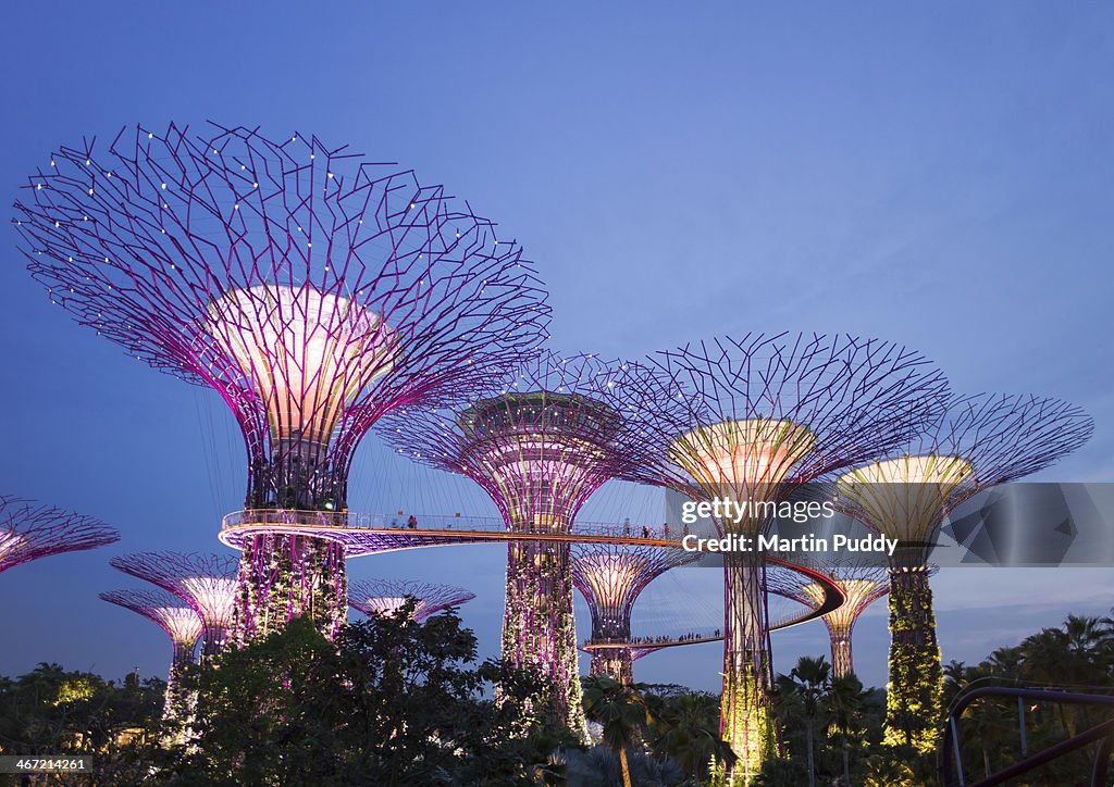 Singapore, Gardens By The Bay, Super Tree Grove