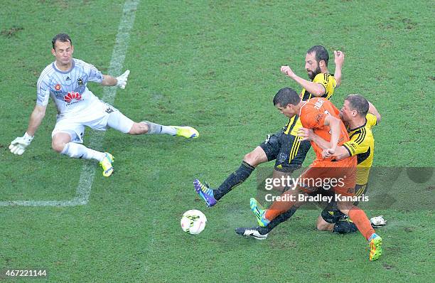 Andrija Kaluderovic of the Roar is pressured by the Phoenix defence during the round 22 A-League match between the Brisbane Roar and the Wellington...