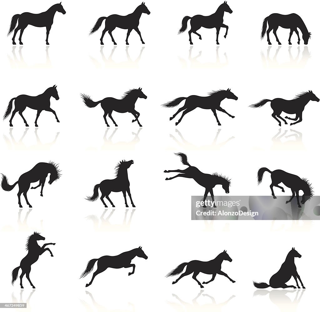 Pferd Icon Set