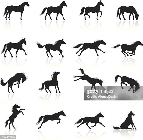 pferd icon set - horse running stock-grafiken, -clipart, -cartoons und -symbole