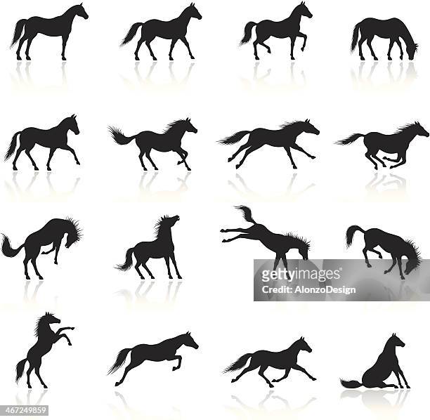 horse icon set - horse stock illustrations