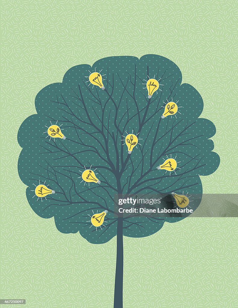 Tree Ideation Graphics Ideas Growing On A Tree High-Res Vector Graphic - Getty Images
