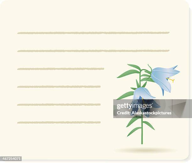 bellflower - campanula rotundifolia stock illustrations