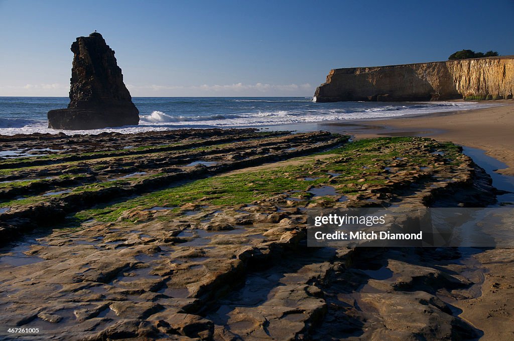 Davenport coast