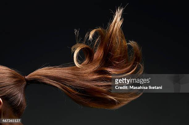 brown hair fluttering - ponytail hairstyle stock pictures, royalty-free photos & images