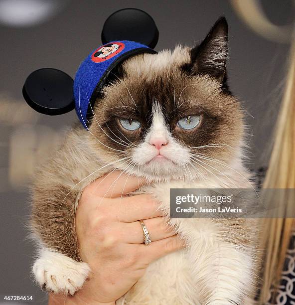 Grumpy Cat attends the premiere of "Cinderella" at the El Capitan Theatre on March 1, 2015 in Hollywood, California.