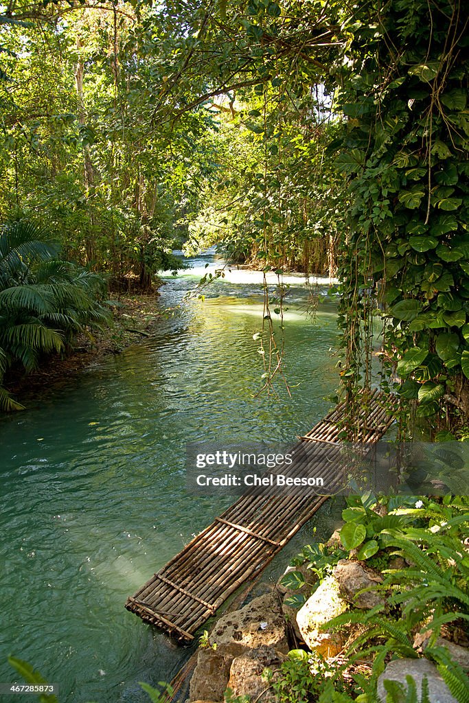 Bamboo river raft