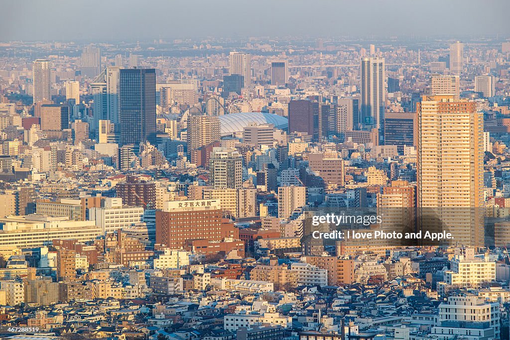 Tokyo afternoon view