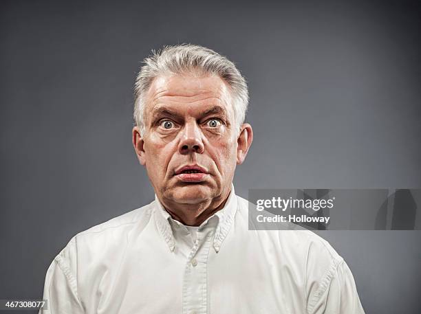 portait - mirar fijamente fotografías e imágenes de stock