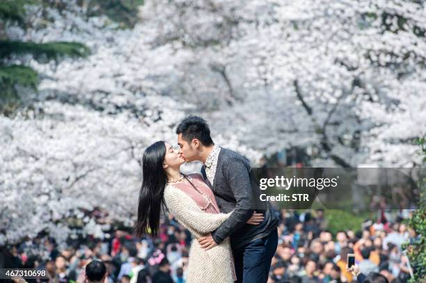 This picture taken on March 21, 2015 shows a couple kissing in front of blooming cherry blossoms in Wuhan in central China's Hubei province. The...