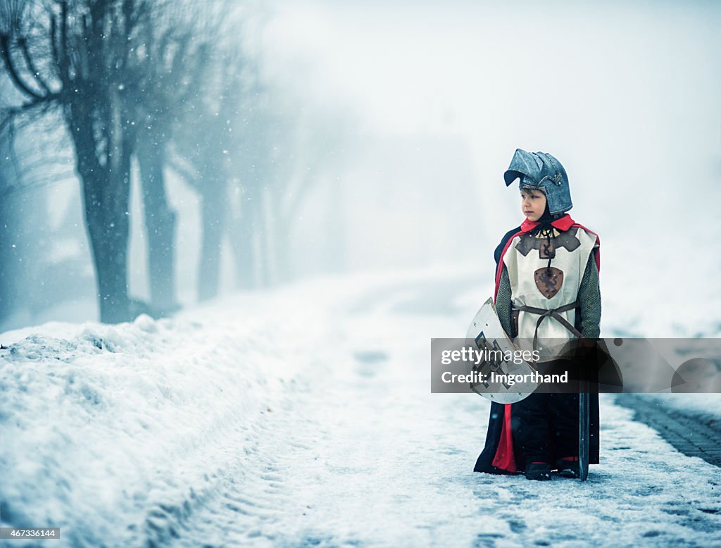 Lonely winter knight