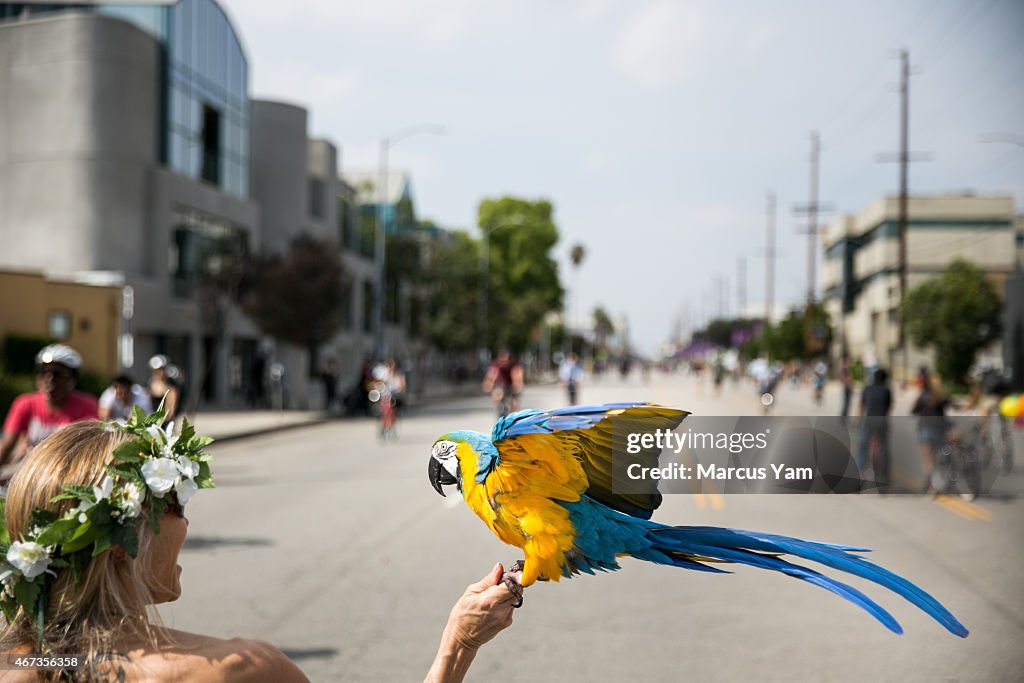 CicLAvia bike festival