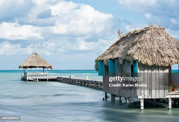 pier/wharf in ambergris caye belize - san pedro stock-fotos und bilder