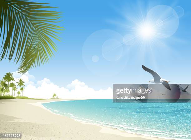 tropischen strand hintergrund - sonnig stock-grafiken, -clipart, -cartoons und -symbole