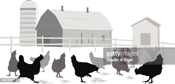 peckingorder - feeding stock illustrations