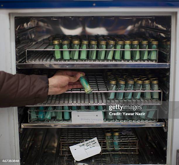 Sputum Routine Bottle Proper Hygiene Photos and Premium High Res Pictures - Getty Images