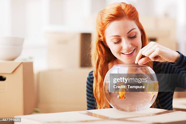 new beginings, woman unpacking at home. - feeding fish stock pictures, royalty-free photos & images