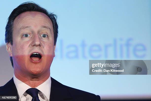 British Prime Minister David Cameron speaks to members of 'Age UK' during their election rally at the Queen Elizabeth II centre on March 24, 2015 in...