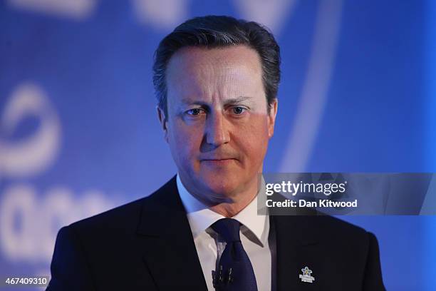 British Prime Minister David Cameron speaks to members of 'Age UK' during their election rally at the Queen Elizabeth II centre on March 24, 2015 in...