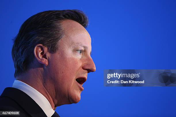 British Prime Minister David Cameron speaks to members of 'Age UK' during their election rally at the Queen Elizabeth II centre on March 24, 2015 in...