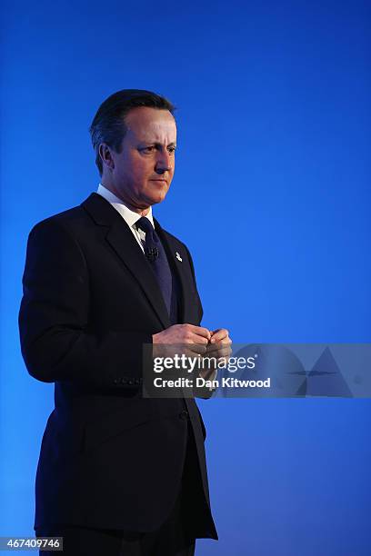 British Prime Minister David Cameron speaks to members of 'Age UK' during their election rally at the Queen Elizabeth II centre on March 24, 2015 in...