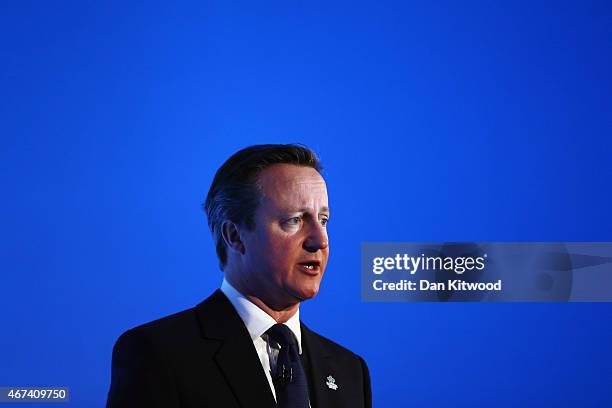 British Prime Minister David Cameron speaks to members of 'Age UK' during their election rally at the Queen Elizabeth II centre on March 24, 2015 in...