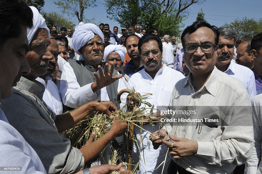 Delhi Congress Leader Ajay Maken Meets Hailstorm Affected Farmers In Delhi