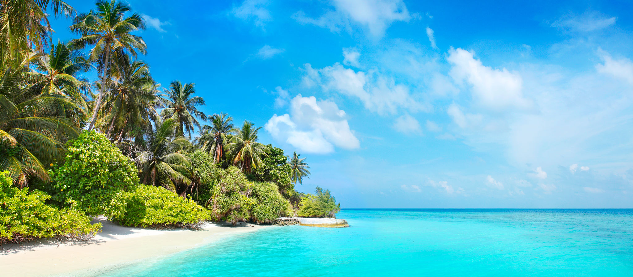 Coconut palms and sunny beach at Bandos island in Maldives Coconut palms and sunny beach at Bandos island in Maldives