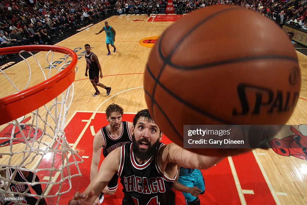 Charlotte Hornets v Chicago Bulls