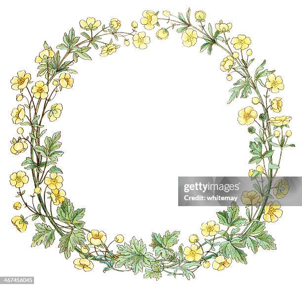 victorian hahnenfuß runder rand - buttercup stock-grafiken, -clipart, -cartoons und -symbole