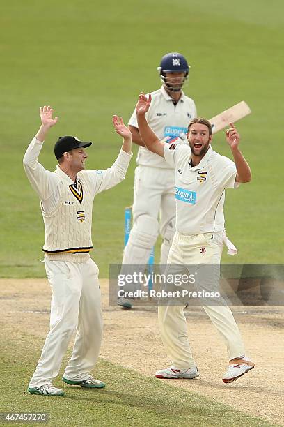 Andrew Tye of Western Australia celebrates with team-mates after taking the wicket of Rob Quiney of Victoria during day five of the Sheffield Shield...