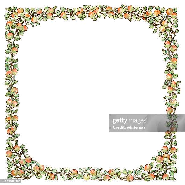 victorian square frame of apples and leaves - branches intertwined stock illustrations