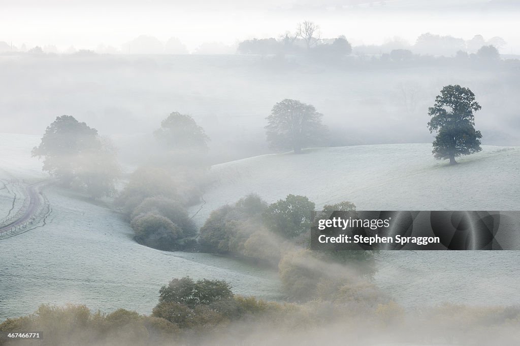 Mist Shrouded Landscape, Somerset