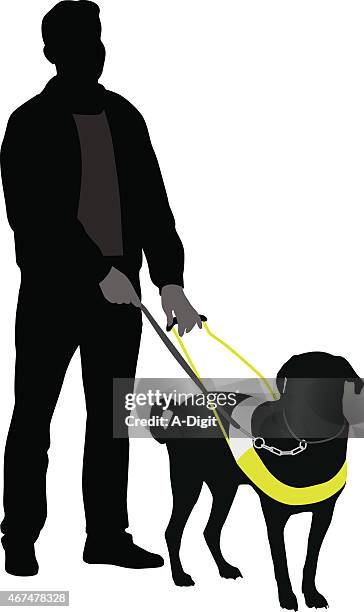 ilustrações, clipart, desenhos animados e ícones de guidedog - cegueira