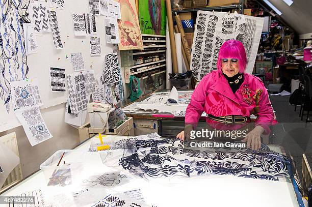 Fashion designer Dame Zandra Rhodes is photographed at her studio for Hello magazine on February 10, 2015 in London, England.
