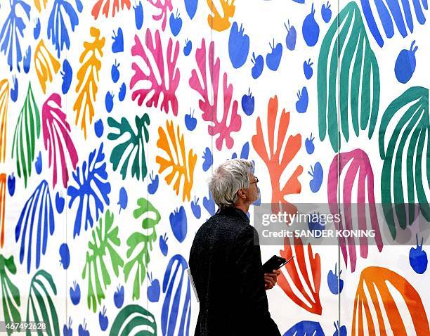 Visitor looks at La Perruche et la Sirene by French artist Henry Matisse at the previewing of the exhibition 'De Oase van Matisse' at the Stedelijk...