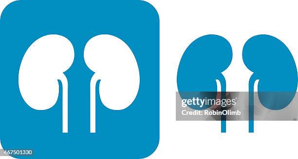 blue kidneys  icons - biomedical illustration stock illustrations