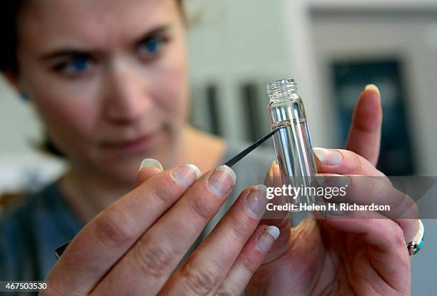 Cassey Anderson, a project manager at CSU Extension looks at a specimen of a lilac ash borer kept in a bottle at Longmont Parks and Forestry offices...