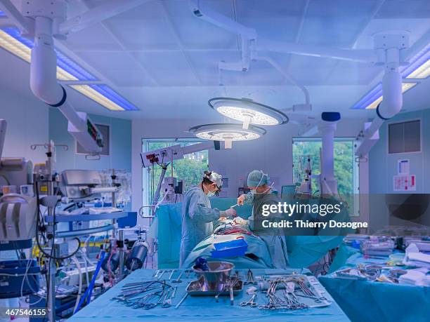 surgeons performing open heart surgery - operation stock-fotos und bilder